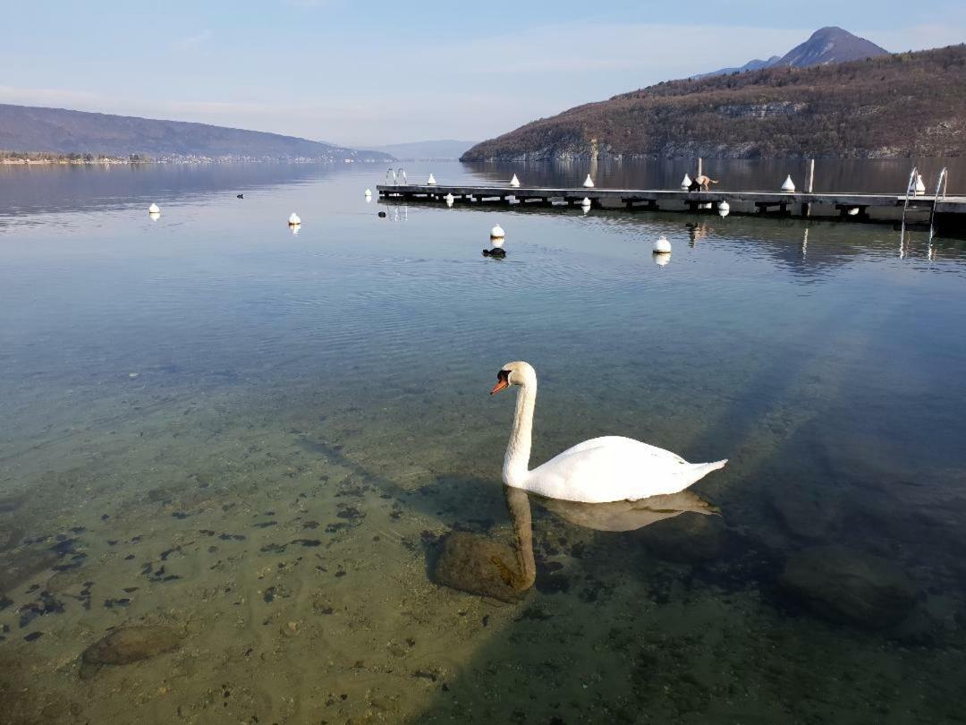 La Baie Des Voiles 3 Chambres 4 A 6 Personnes Au Bord Du Lac Plage Privee Duingt Zewnętrze zdjęcie